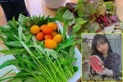 Nàng dâu Việt ở Hàn 'mát tay' trồng đủ loại rau củ xanh rì trên góc ban công vỏn vẹn 3m vuông