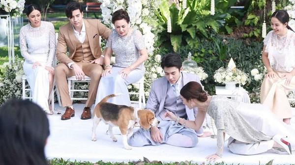 4 phim cưới vì gia đình, yêu vì chúng ta siêu ngọt-3