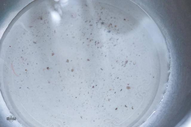 Suốt ngày ăn nấm hương tươi, nhưng chỉ rửa với nước là sai, thêm bước nữa mới sạch-4