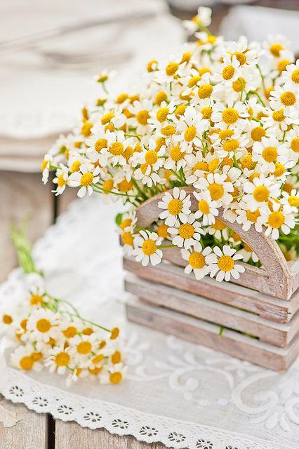 Tử vi 12 cung hoàng đạo thứ Ba ngày 15/12/2020: Nhân Mã cảm xúc hỗn độn, Song Tử đầy sáng tạo-1