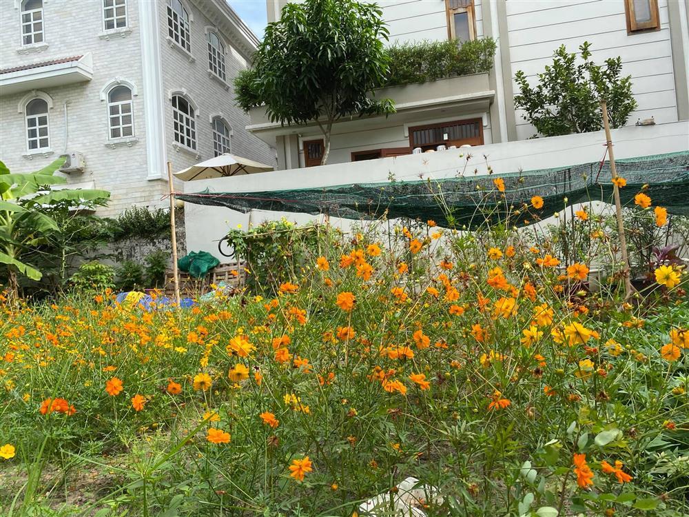 Biệt thự sang chảnh ngập sắc hoa của Quý Bình và vợ đại gia-13