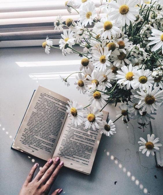 Tử vi 12 cung hoàng đạo thứ Tư ngày 16/12/2020: Bạch Dương áp lực công việc, Cự Giải bế tắc tình duyên-3