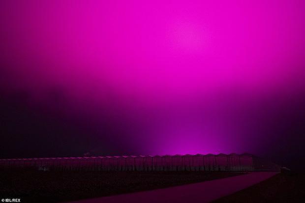 Bầu trời Thụy Điển bất ngờ chuyển sang màu tím lạ-3