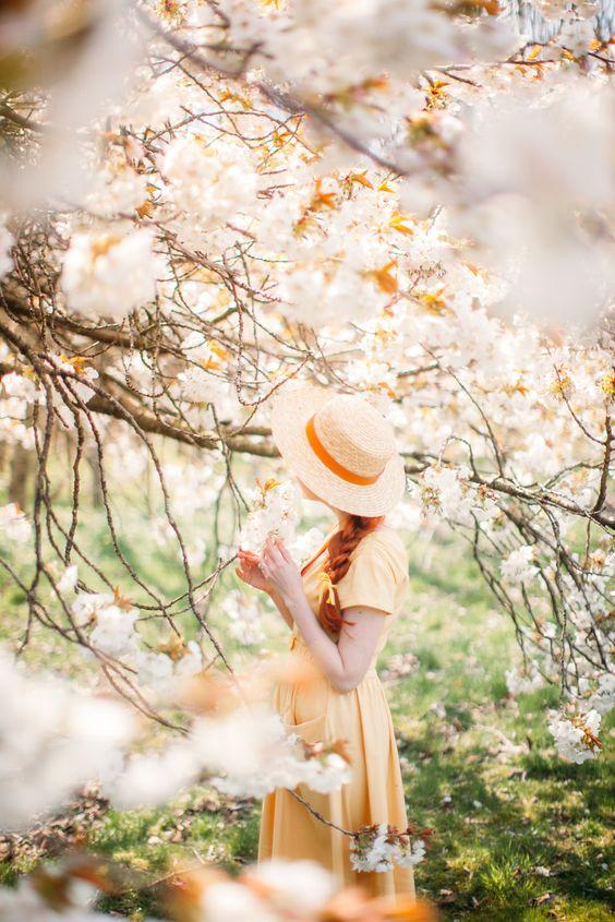 Tử vi 12 cung hoàng đạo thứ Năm ngày 17/12/2020: Kim Ngưu hạnh phúc, Cự Giải hoang phí-1