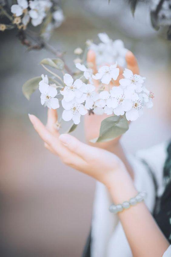 Tử vi 12 cung hoàng đạo thứ Năm ngày 17/12/2020: Kim Ngưu hạnh phúc, Cự Giải hoang phí-2