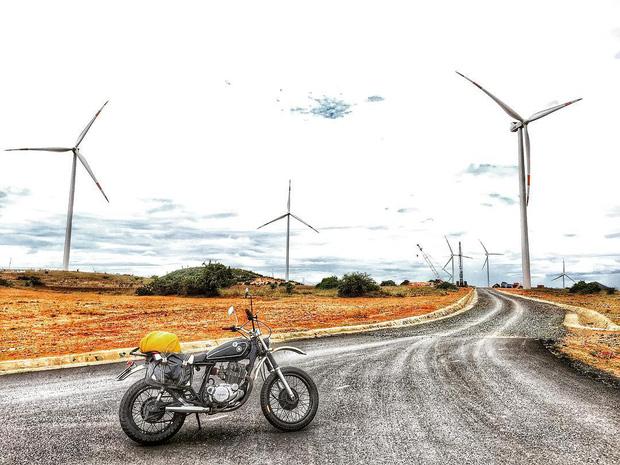 Check-in ngay hai cánh đồng quạt gió đẹp quên lối về ở Bình Thuận-7