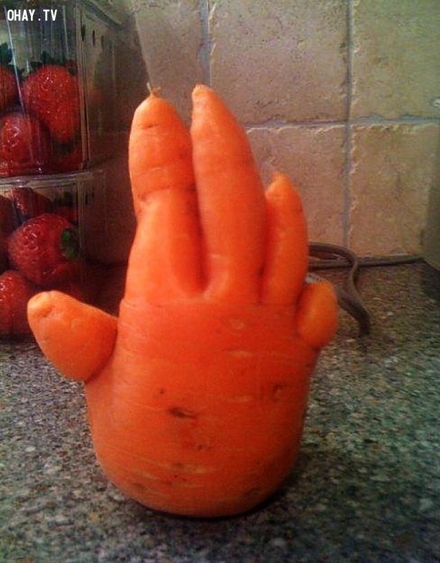 Những loại rau củ quả với hình thù độc lạ như từ hành tinh khác đến-6