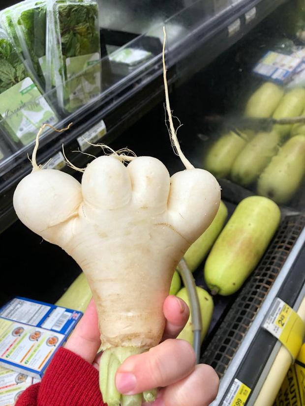 Những loại rau củ quả với hình thù độc lạ như từ hành tinh khác đến-8