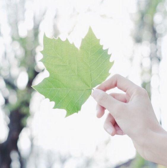 Tử vi 12 cung hoàng đạo thứ Sáu ngày 18/12/2020: Song Tử lo lắng, Bọ Cạp nỗ lực-2