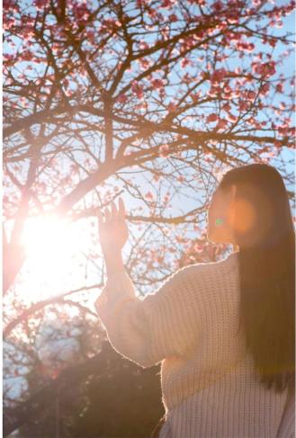 Ghé thăm thị trấn sương mù Sapa để ngắm hoa anh đào bắt đầu khoe sắc-5