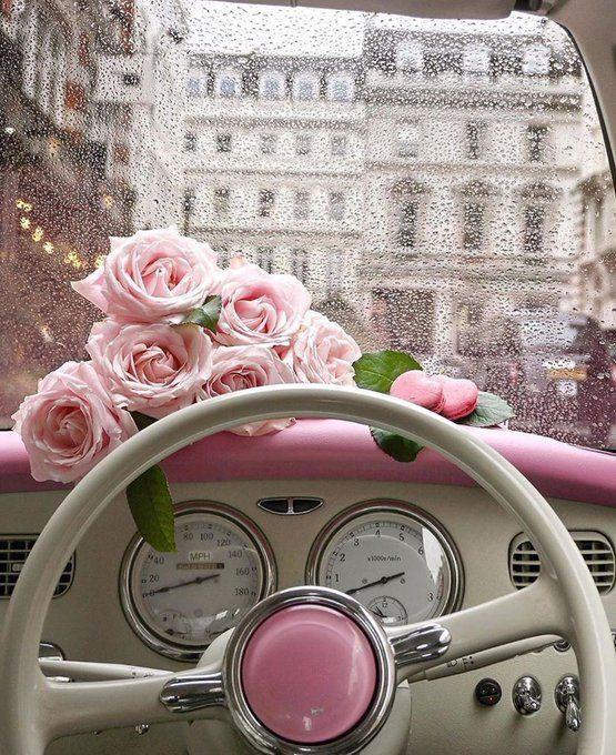 Tử vi 12 cung hoàng đạo thứ Bảy ngày 19/12/2020: Song Tử căng thẳng với nửa kia, Xử Nữ tự tin-2