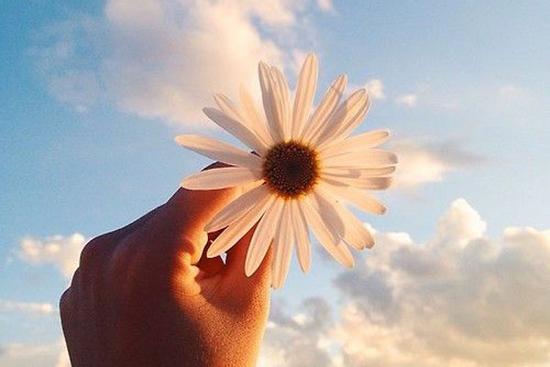 Tử vi 12 cung hoàng đạo thứ Bảy ngày 19/12/2020: Song Tử căng thẳng với nửa kia, Xử Nữ tự tin