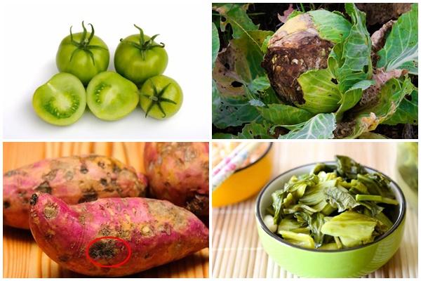 Cây trái quê nhà mọc hiên ngang, sống vui khỏe như trêu ngươi gia chủ-10