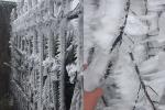 Clip: Người đàn ông cởi trần đánh đu trên cây, hò hét giữa băng tuyết giá rét trên đỉnh Mẫu Sơn-1
