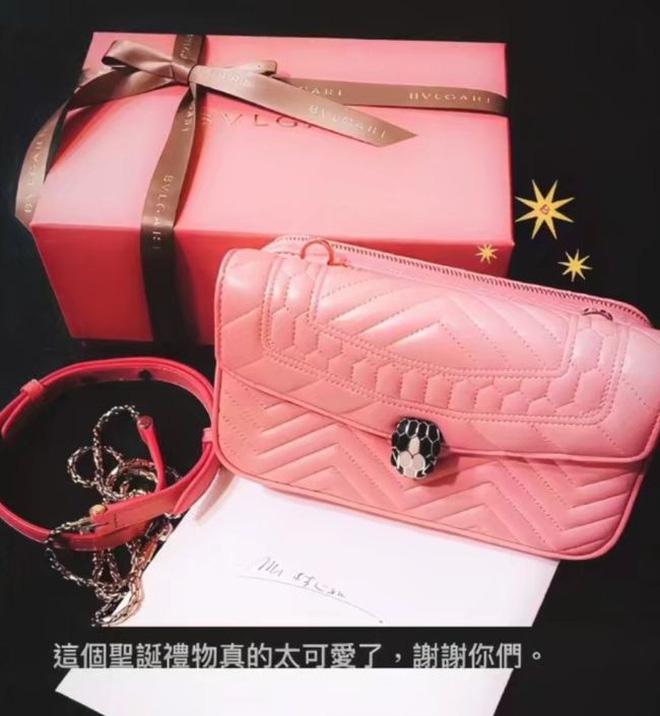 Sinh ra ở vạch đích, Lâm Tâm Như sắm túi hiệu, để dành trang sức 300 tỷ cho con gái-4