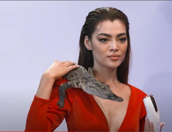 NTK Đức Vincie: Tôi lên án Đại sứ Hoàn mỹ đâu phải vì Hương Giang-1