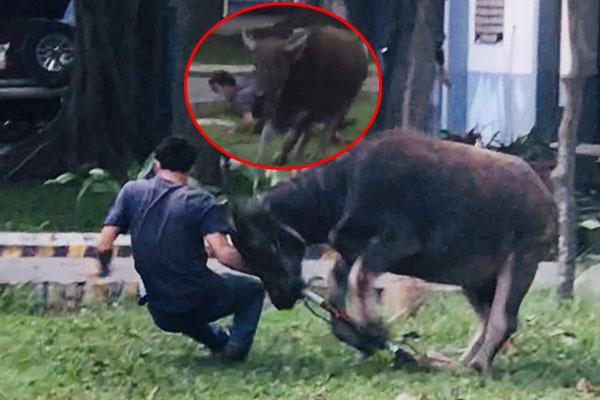 Băng qua đường ray ở TP.HCM, người phụ nữ bị tông chết-2