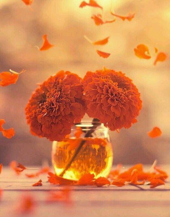 Tử vi 12 cung hoàng đạo thứ Hai ngày 21/12/2020: Kim Ngưu ổn định, Bảo Bình tinh thần uể oải-1