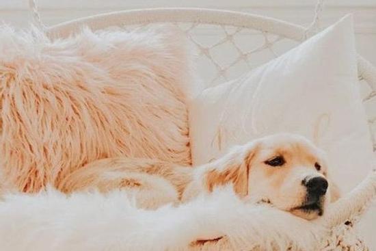 Tử vi 12 cung hoàng đạo thứ Hai ngày 21/12/2020: Kim Ngưu ổn định, Bảo Bình tinh thần uể oải