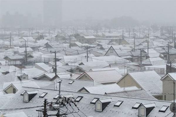 New York ban bố tình trạng khẩn cấp vì bão tuyết-1