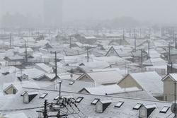 Nhật Bản chìm trong bão tuyết