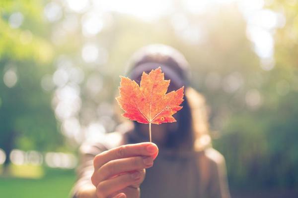 Tử vi 12 cung hoàng đạo thứ Ba ngày 22/12/2020: Song Tử tùy hứng, Ma Kết đầy trách nhiệm-4