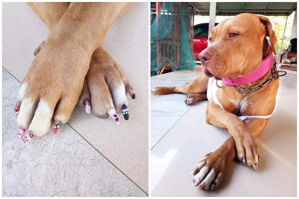 Xuất hiện bộ nail chân lấm tay bùn khiến chị em mắc bệnh sạch sẽ nhìn là ngứa ngáy-3