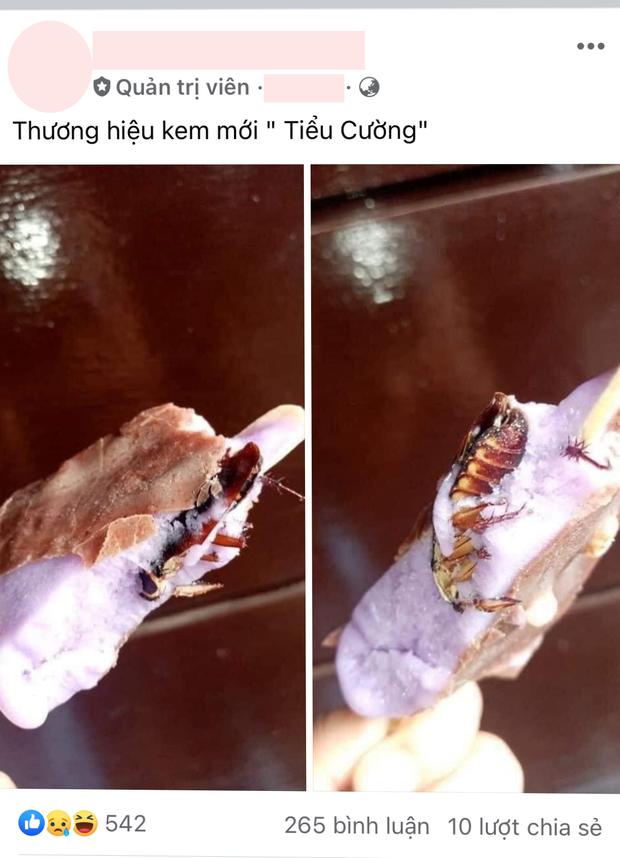 Đang ăn dở cây kem bỗng phát hiện bên trong có bé gián béo phì, cảm giác lúc ấy bạn đoán xem sẽ thốn cỡ nào?-1