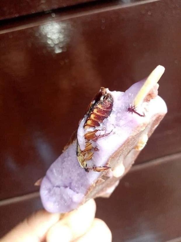 Đang ăn dở cây kem bỗng phát hiện bên trong có bé gián béo phì, cảm giác lúc ấy bạn đoán xem sẽ thốn cỡ nào?-3