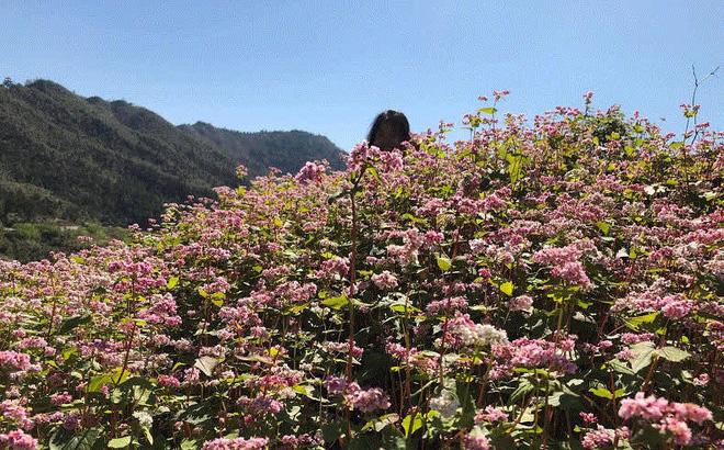 Hăm hở chụp ảnh cho bạn gái ở Đà Lạt, thanh niên cười sặc khi nhìn lại thành quả-4