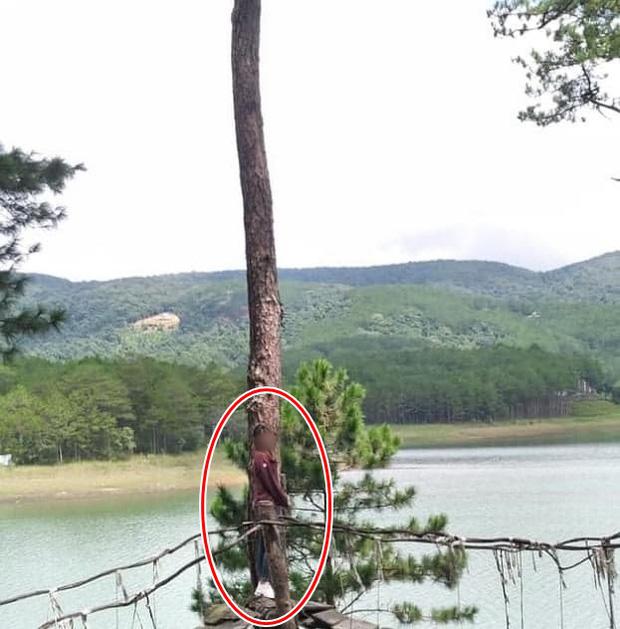 Hăm hở chụp ảnh cho bạn gái ở Đà Lạt, thanh niên cười sặc khi nhìn lại thành quả-3