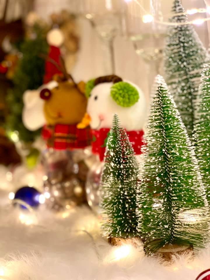 Biệt thự 500.000 USD siêu đẹp của Thúy Hạnh - Minh Khang-11