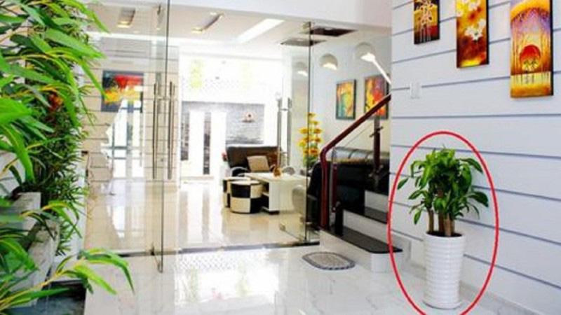 Cuối năm Canh Tý, nhớ làm 4 điều này khi dọn nhà để mang lại phúc lộc dồi dào-2