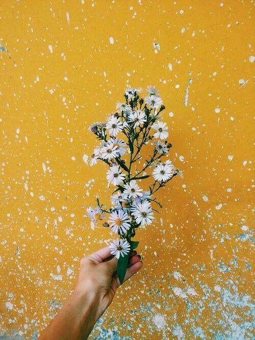 Tử vi 12 cung hoàng đạo thứ Ba ngày 22/12/2020: Song Tử tùy hứng, Ma Kết đầy trách nhiệm-2