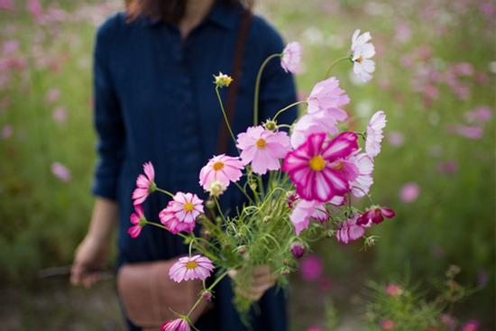Cung hoàng đạo cầu được ước thấy, vạn sự như mơ trong những ngày cuối tháng 12