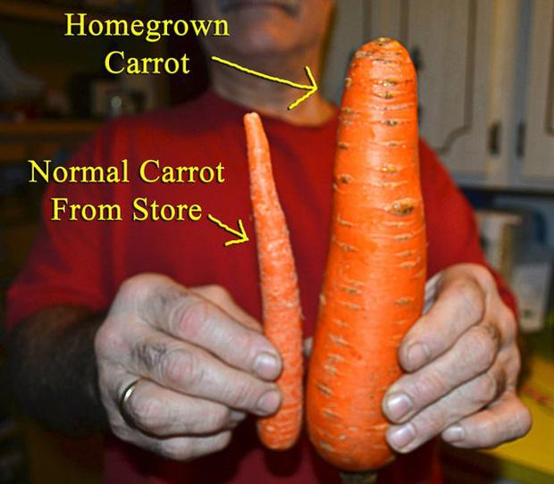 Thực tế chứng minh, đừng bao giờ háo hức mong chờ vào đồ ăn bạn mua qua hình minh họa-13