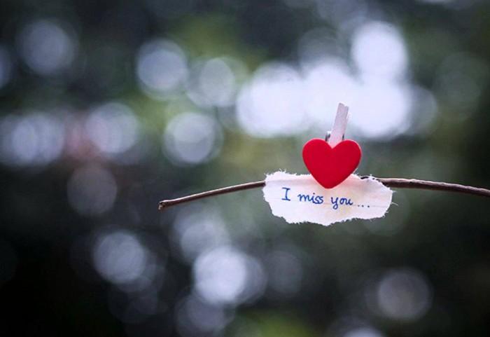 Tử vi thứ Ba ngày 22/12/2020 của 12 con giáp: Hợi may mắn, Thân có cơ hội thăng tiến-1