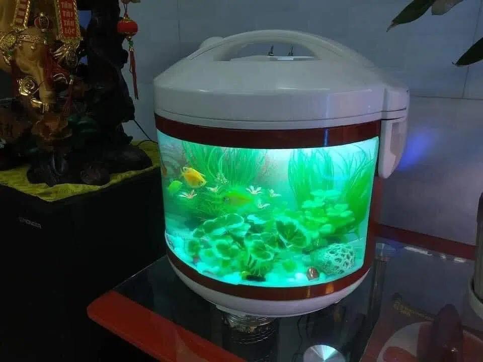 Tưởng là nồi cơm điện nhưng nhìn kỹ lại là món đồ trang trí độc lạ khiến dân mạng trầm trồ-1