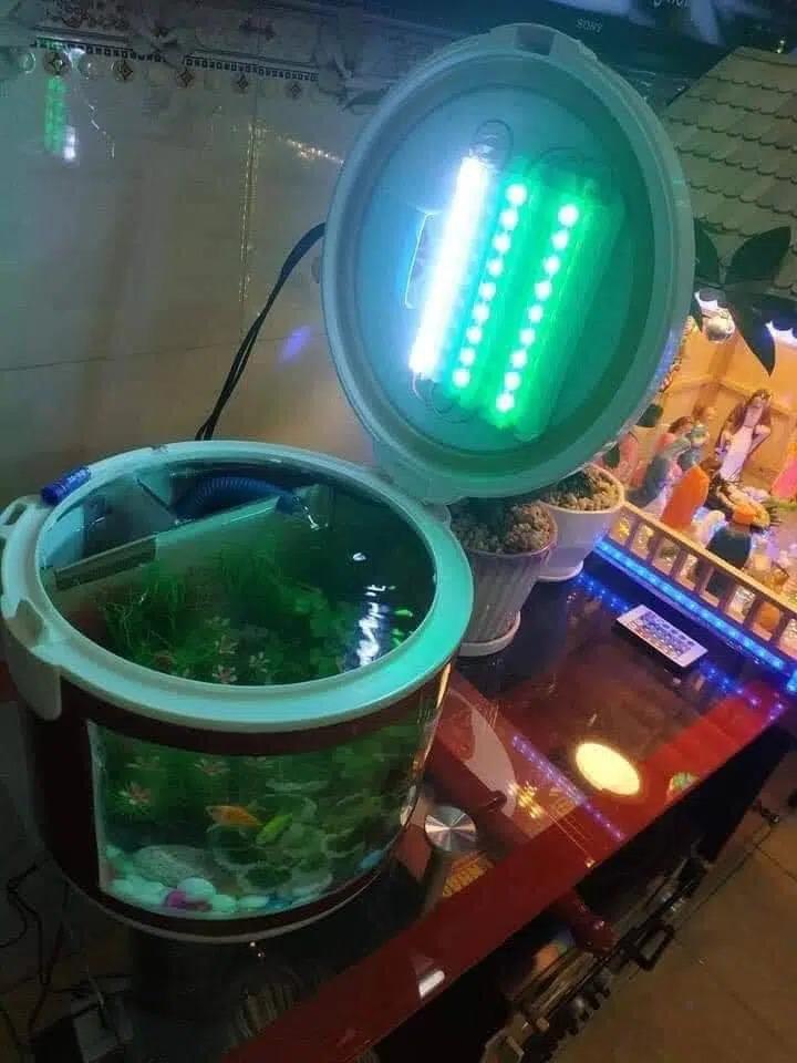 Tưởng là nồi cơm điện nhưng nhìn kỹ lại là món đồ trang trí độc lạ khiến dân mạng trầm trồ-2