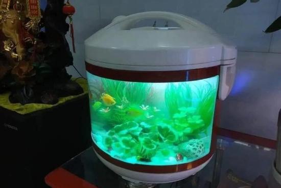 Tưởng là 'nồi cơm điện' nhưng nhìn kỹ lại là món đồ trang trí độc lạ khiến dân mạng trầm trồ