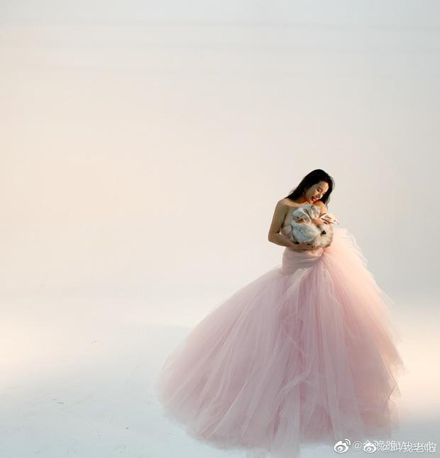 Dương Mịch bị bóc mẽ 2 năm liên tiếp mặc đồ second-hand, đến hoa tai cũng là từ Lưu Thi Thi?-3