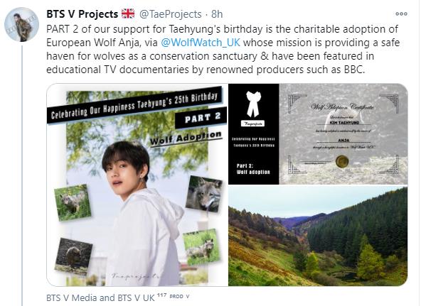 Fan V BTS chơi độc, nhận nuôi sói Châu Âu kỷ niệm sinh nhật thần tượng-3