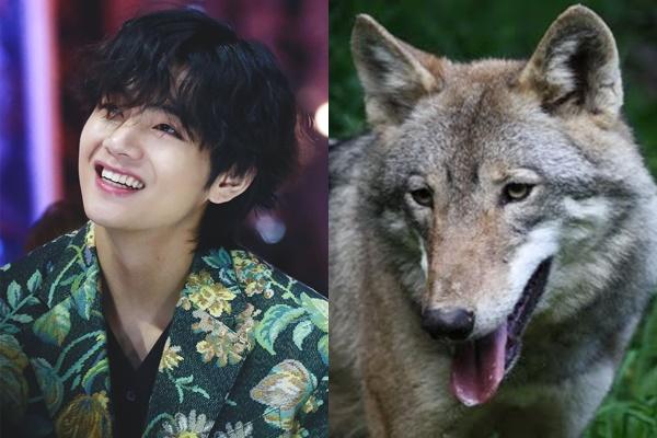 V BTS bước lên đỉnh cao mới trong sự nghiệp solo-10