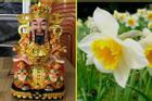 Bàn thờ Thần Tài cuối năm nên đặt 5 loại hoa nghe tên đã thấy phúc lộc, giàu có