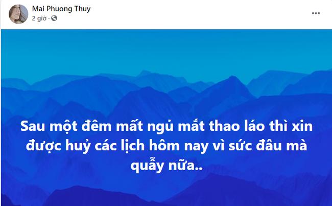 Mai Phương Thúy bị nhận xét hoa hậu mỗi ngày đều có drama-2