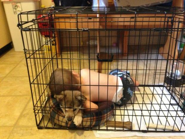 Chùm ảnh nghịch như giặc của con nhỏ khiến cha mẹ chỉ muốn ‘tống khứ’ đến trường-1