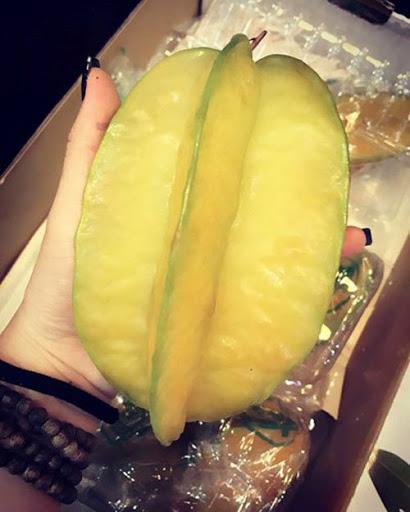 Hú hồn với rau củ quả siêu to khổng lồ qua bàn tay của mẹ thiên nhiên-8