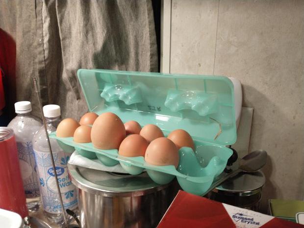 Hú hồn với rau củ quả siêu to khổng lồ qua bàn tay của mẹ thiên nhiên-14