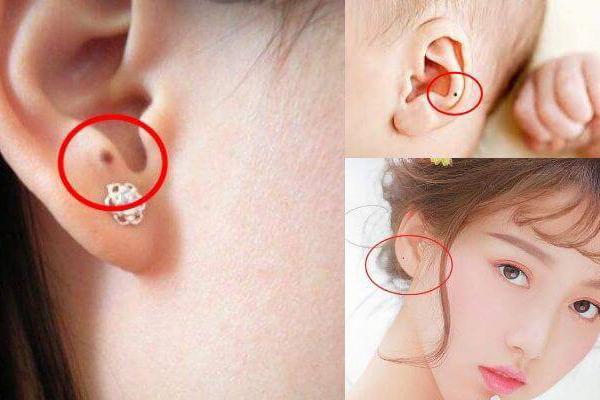 Lấy những cung hoàng đạo này làm vợ, xác định cả đời chỉ có viên mãn hạnh phúc-4