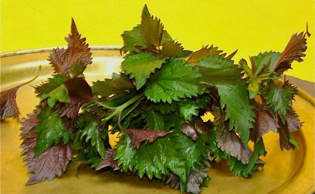 Chị em muốn da mịn màng căng mướt, nhất định không thể bỏ qua loại nước rẻ mà có võ này-2